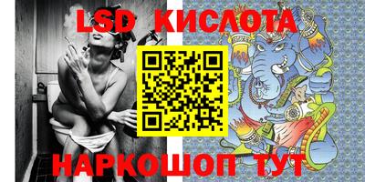 шишки Будённовск