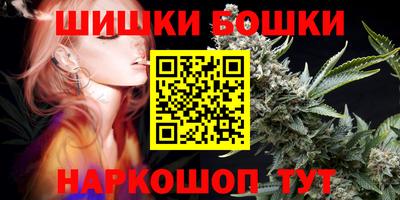 шишки Будённовск