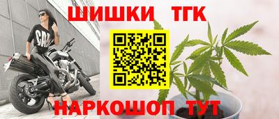 шишки Будённовск