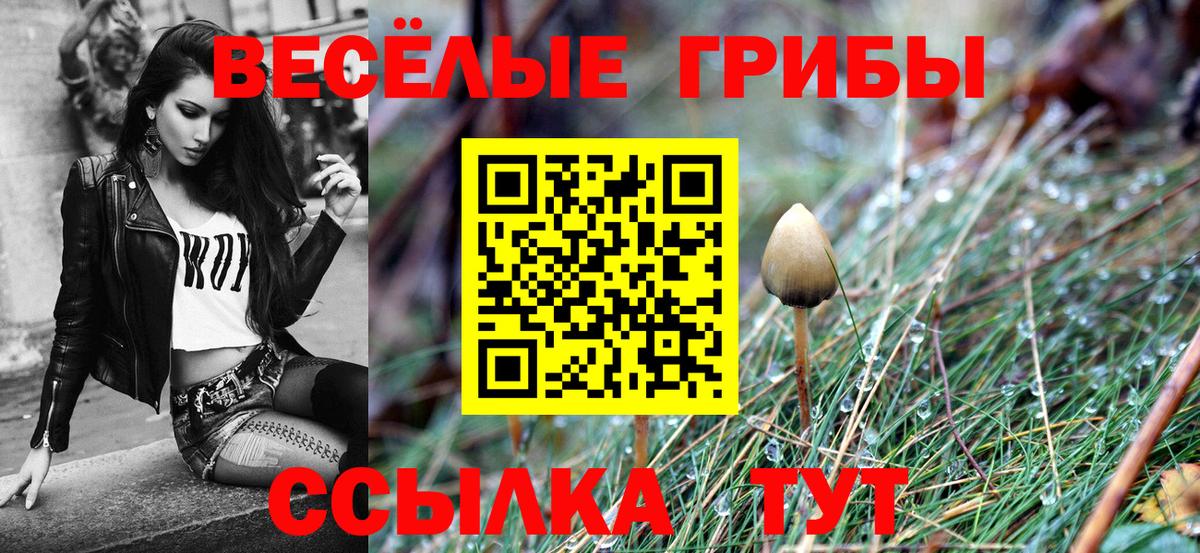 Петрозаводск  Псилоцибиновые грибы Magic Shrooms  Вход с VPN 